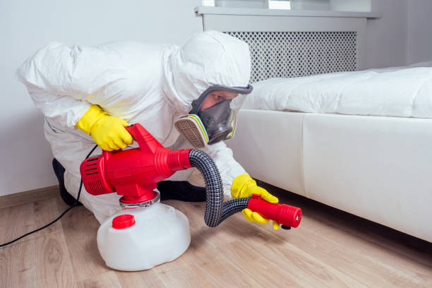 Best Flea Control Services  in Riverton, WY